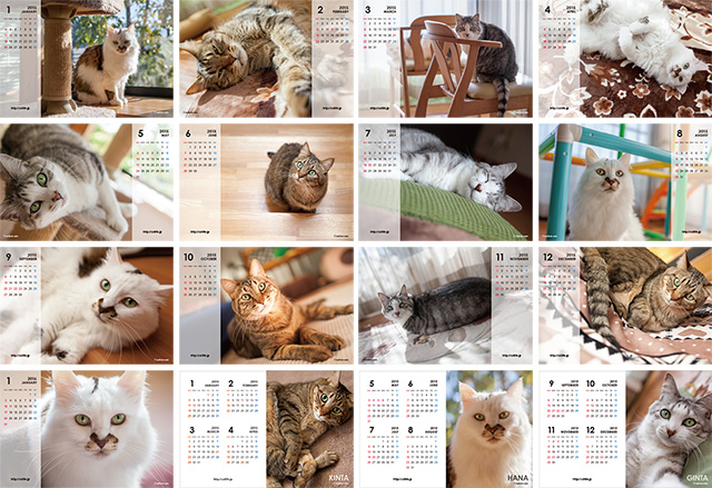 2015年版CatLife卓上カレンダー全16枚サムネイル