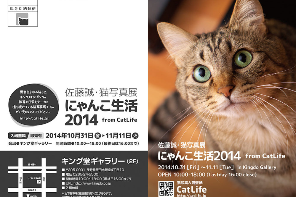 にゃんこ生活2014 from CatLife
