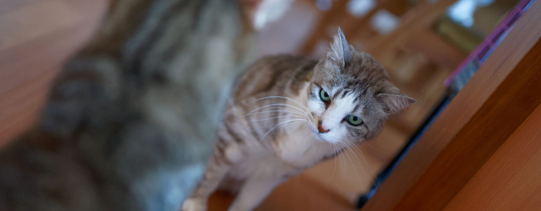 20180630_DSC6032_DxO_Lr