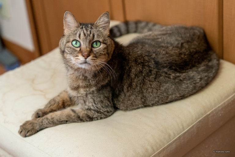 満18歳を迎えたキンタ