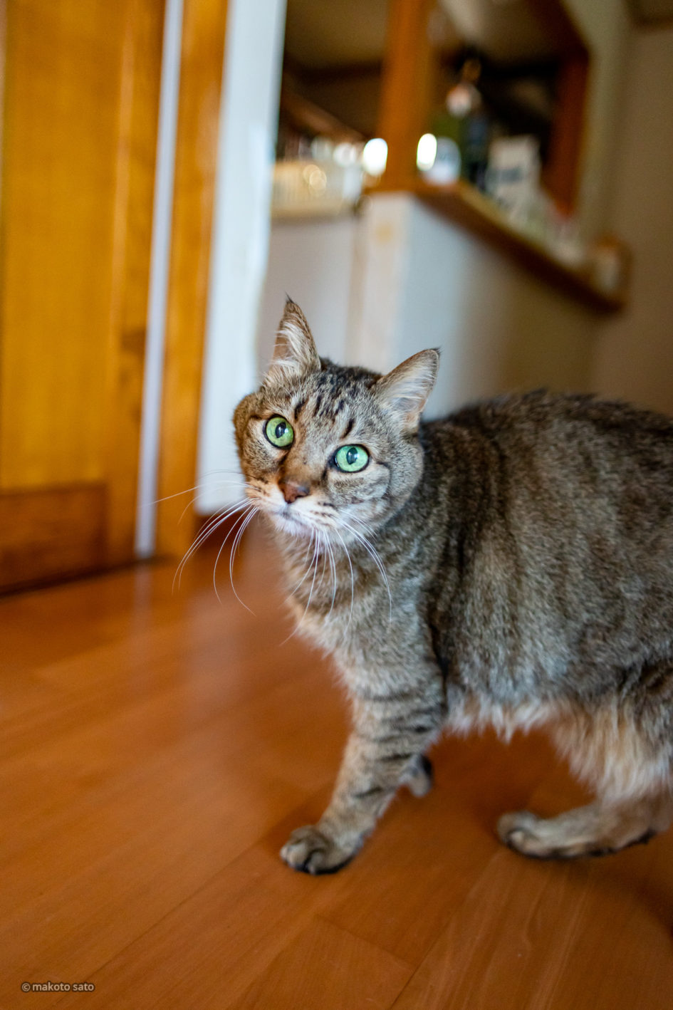 2021年11月17日のキンタ