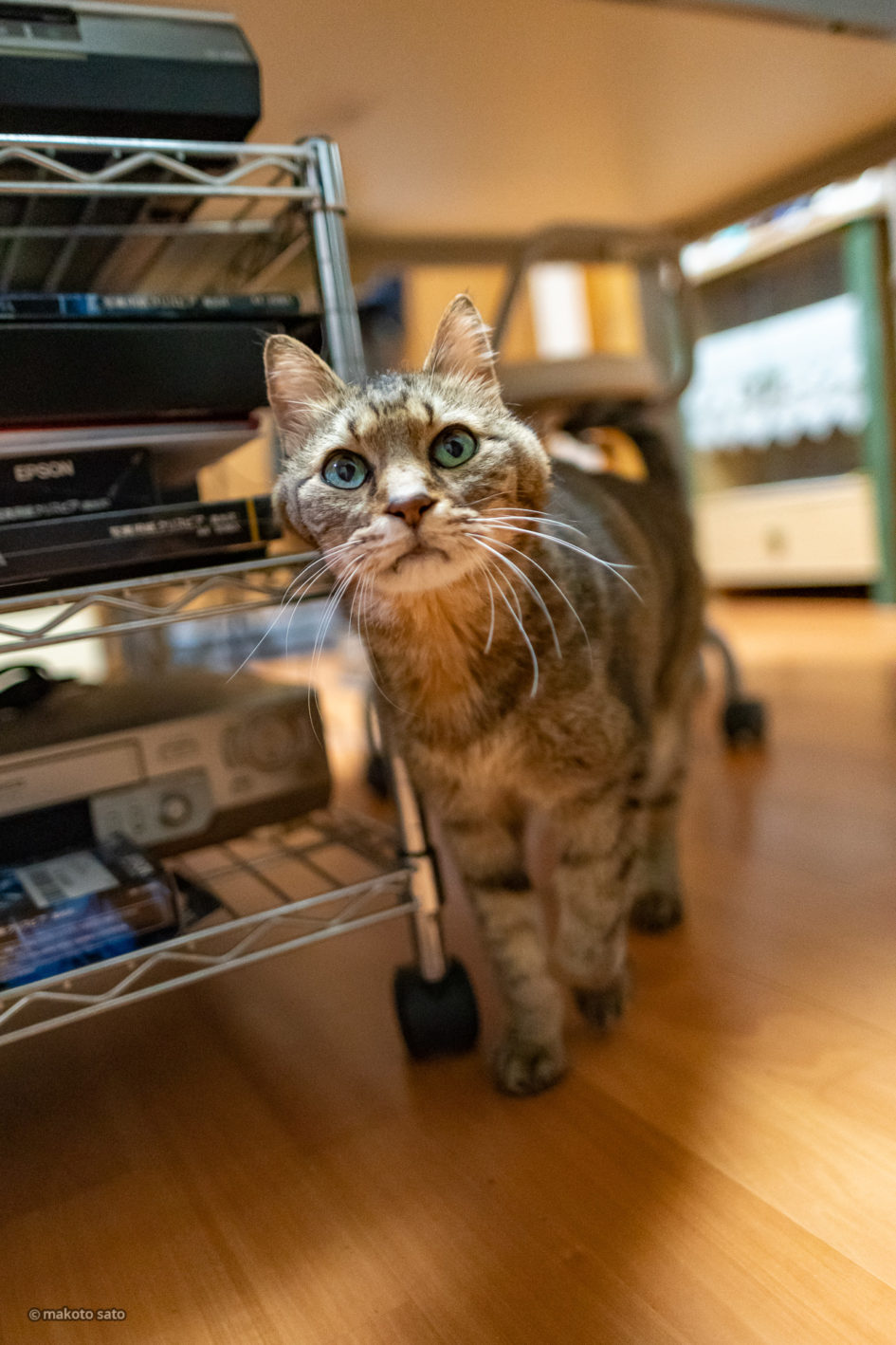 2021年11月18日のキンタ