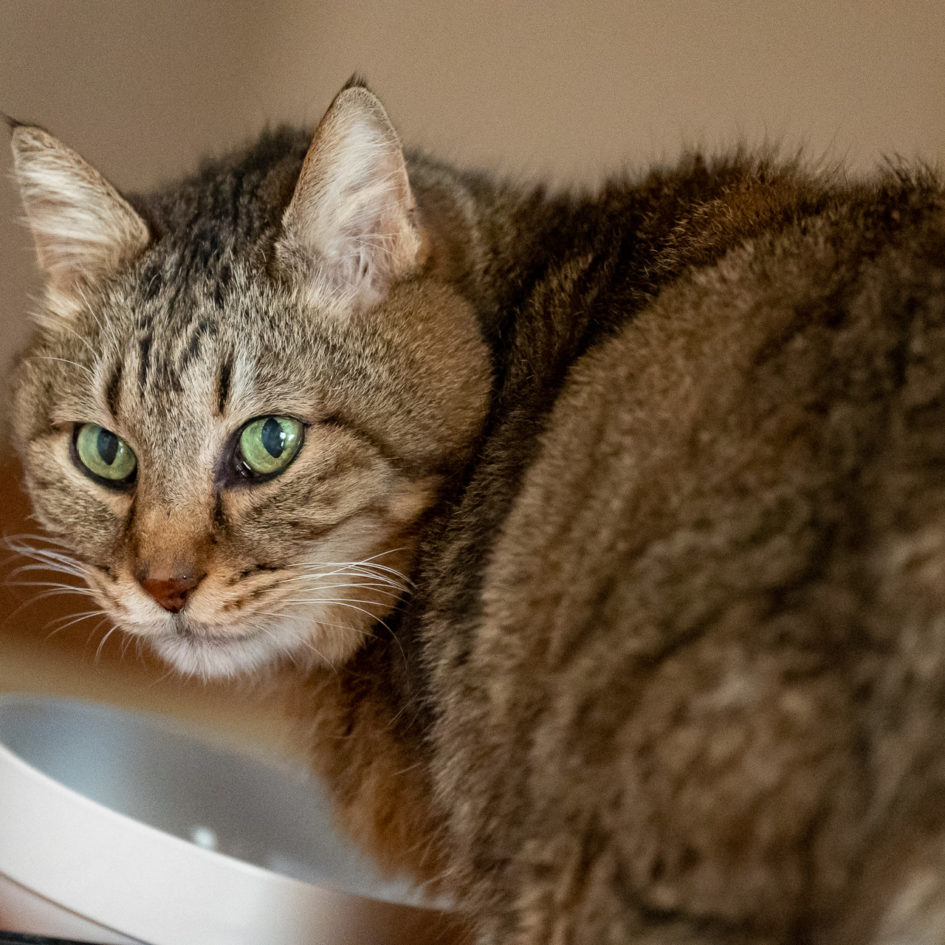 2021年11月26日のキンタ