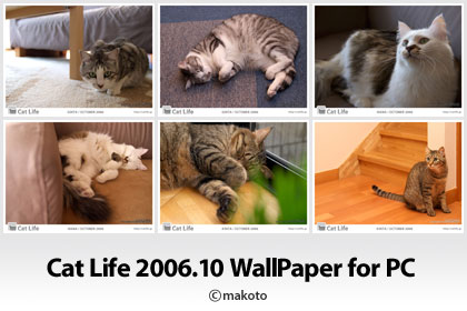 Cat Life 2006年10月の猫写真壁紙をアップ