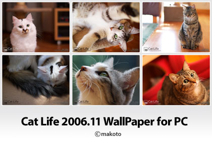 Cat Life 2006年11月の猫写真壁紙をアップ