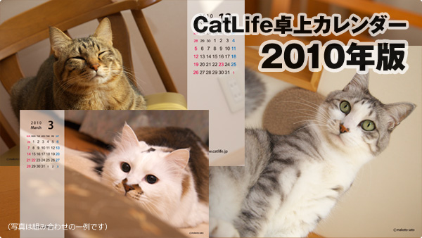 CatLife卓上カレンダー＜2010年版＞