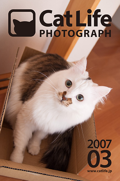 CatLife PHOTOGRAPH 200703